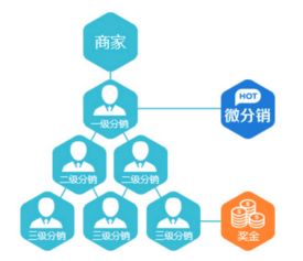 脂老虎下單系統(tǒng)開(kāi)發(fā)案例解析 重慶軟件開(kāi)發(fā)的創(chuàng)新實(shí)踐